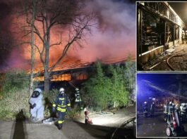 krefeld-zoo-fire:-horror-new-year’s-blaze-kills-all-the-animals-in-monkey-house